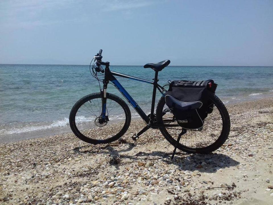 Zoi Apartments Paralia Dionysiou Exteriér fotografie