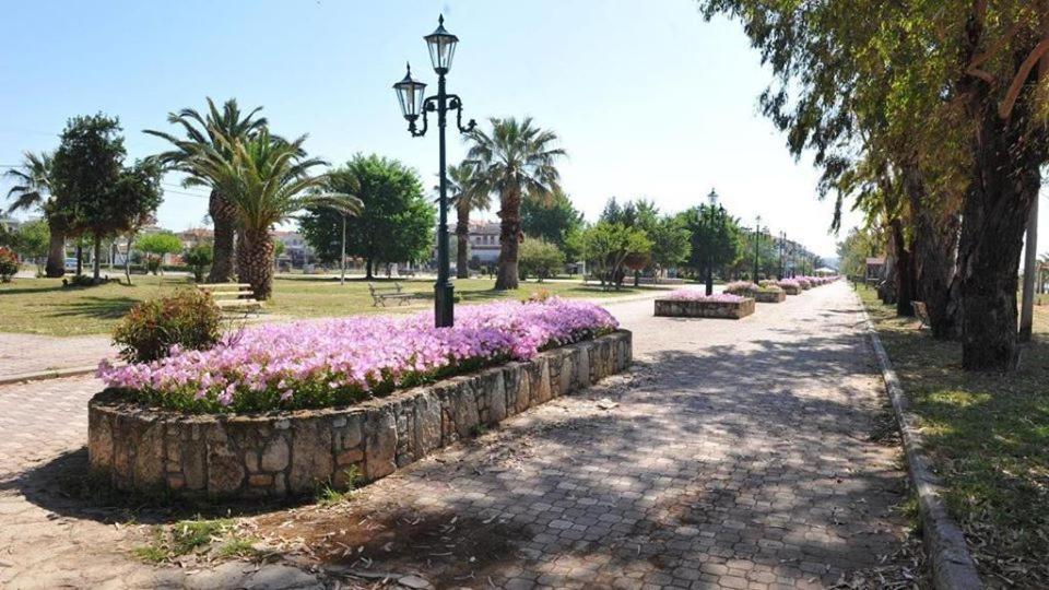Zoi Apartments Paralia Dionysiou Exteriér fotografie